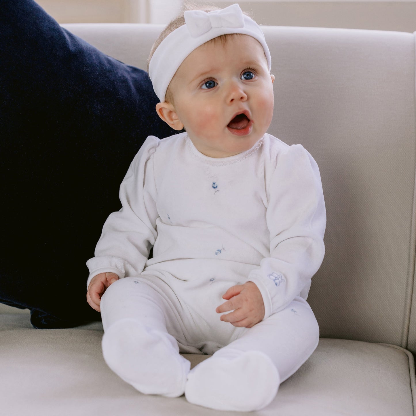 Esme Navy Rosebuds Velour Babygrow