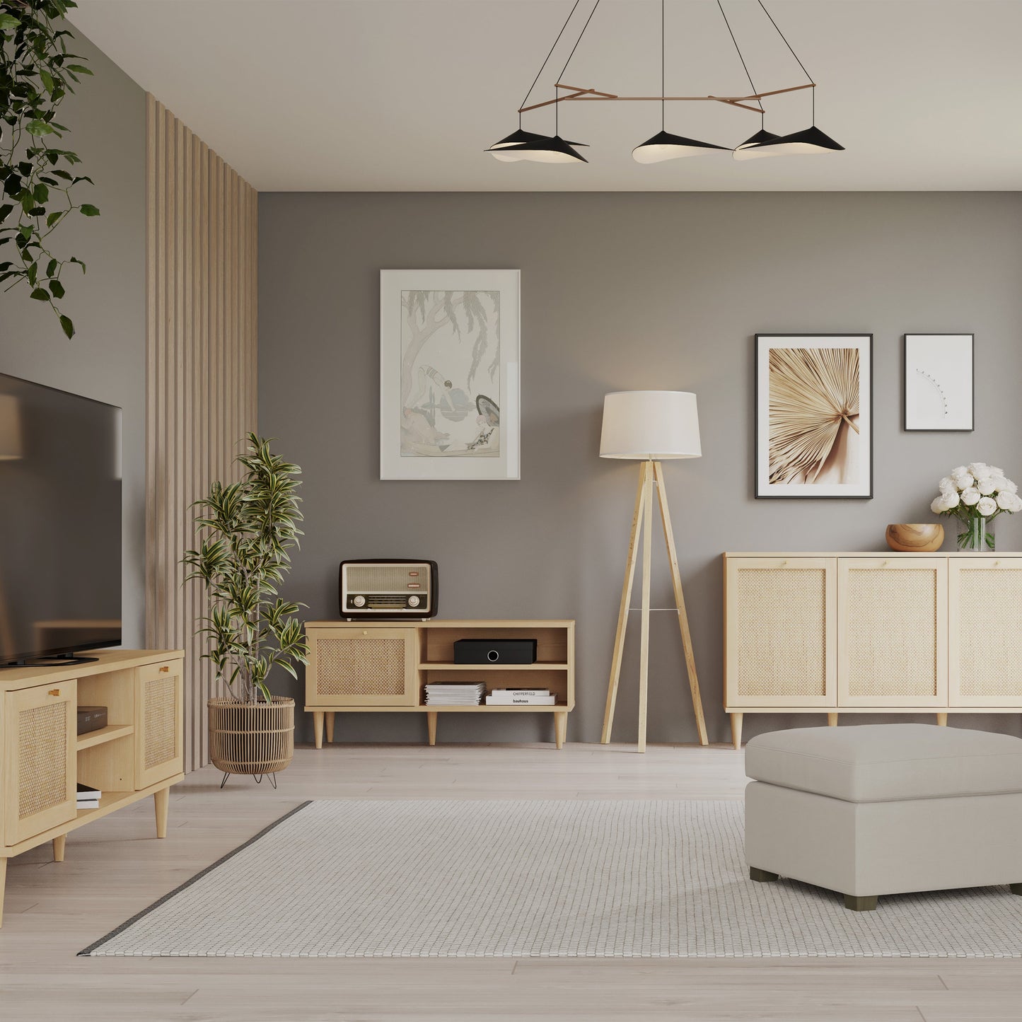 Calasetta 1 Door TV Unit in Rattan