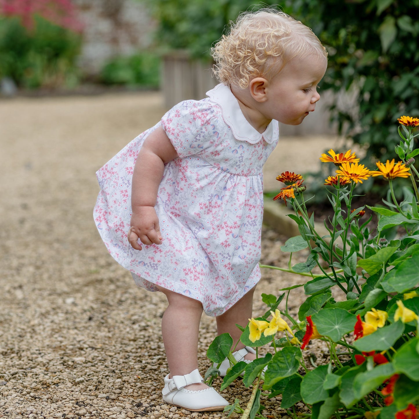 Lola Girls Floral Dress & Frilly Pants Set